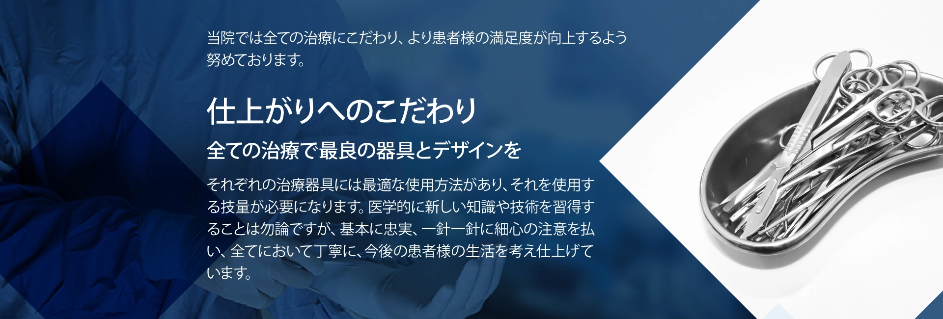 **** イメージ画像 