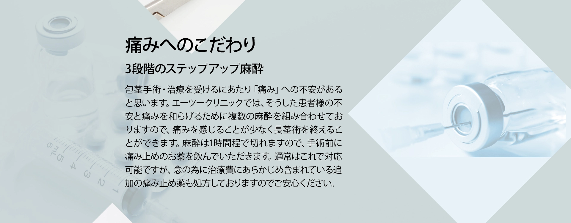 **** イメージ画像 