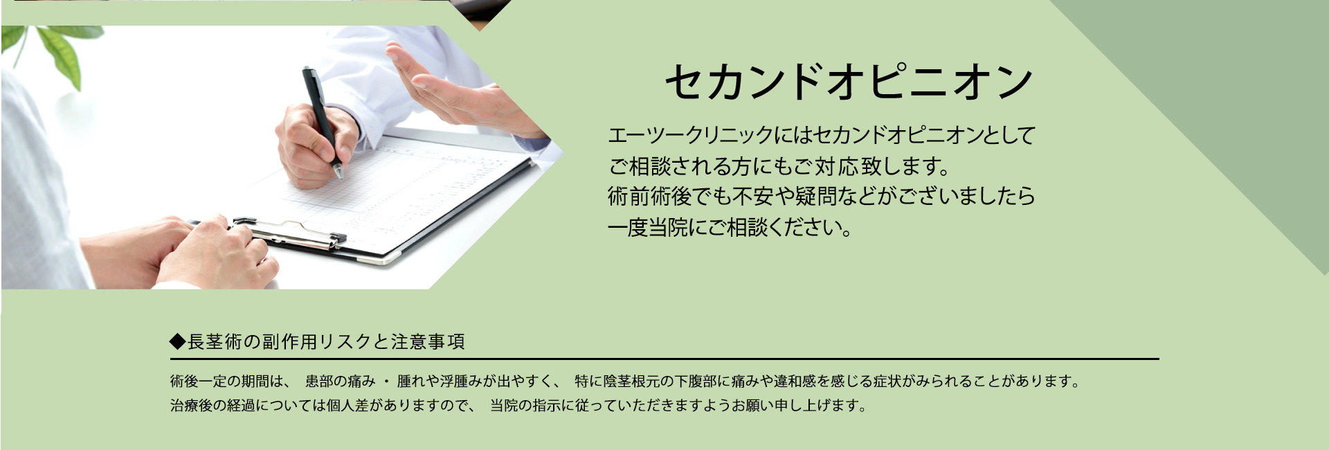 **** イメージ画像 