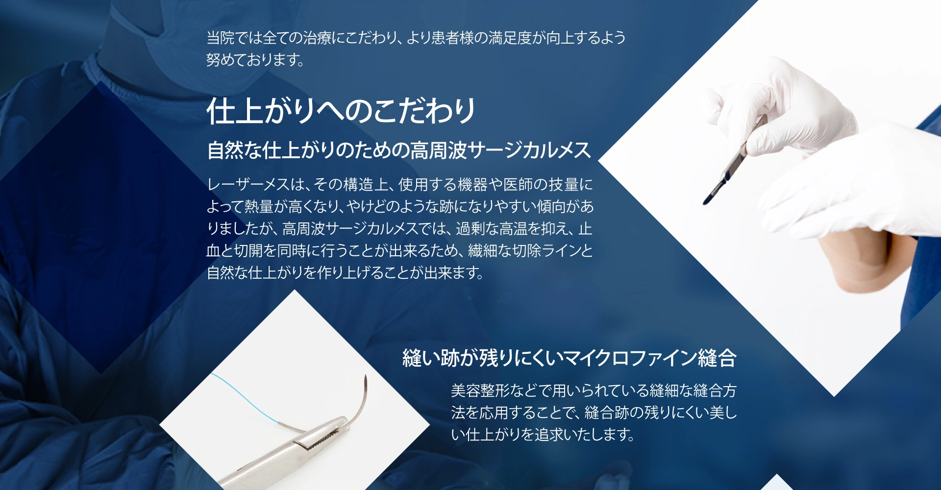 **** イメージ画像 