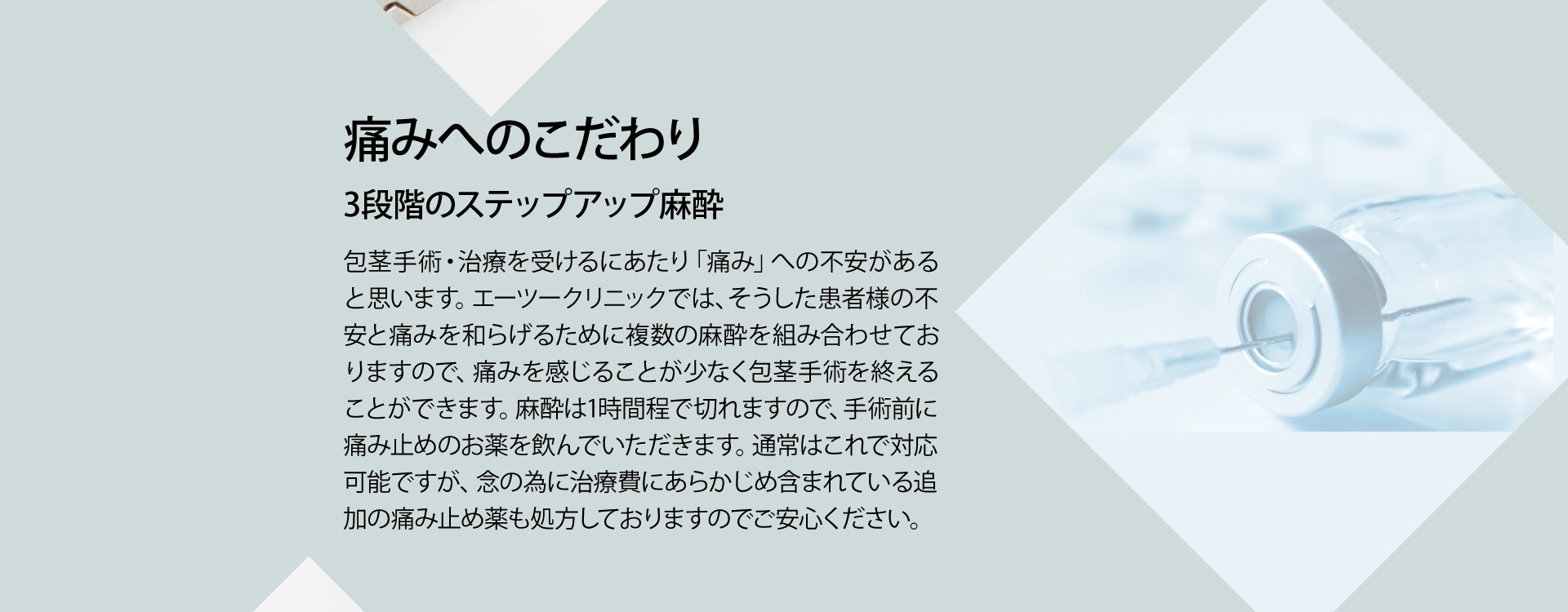 **** イメージ画像 