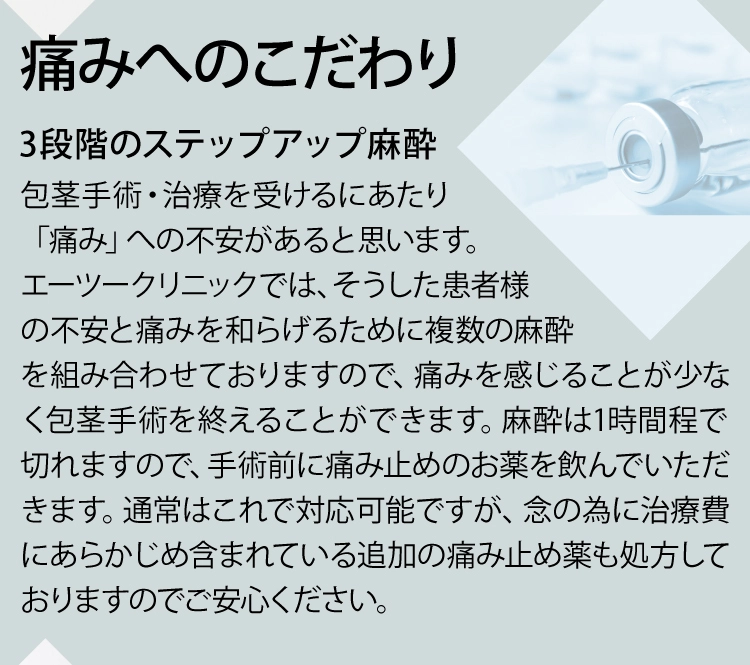 **** イメージ画像 