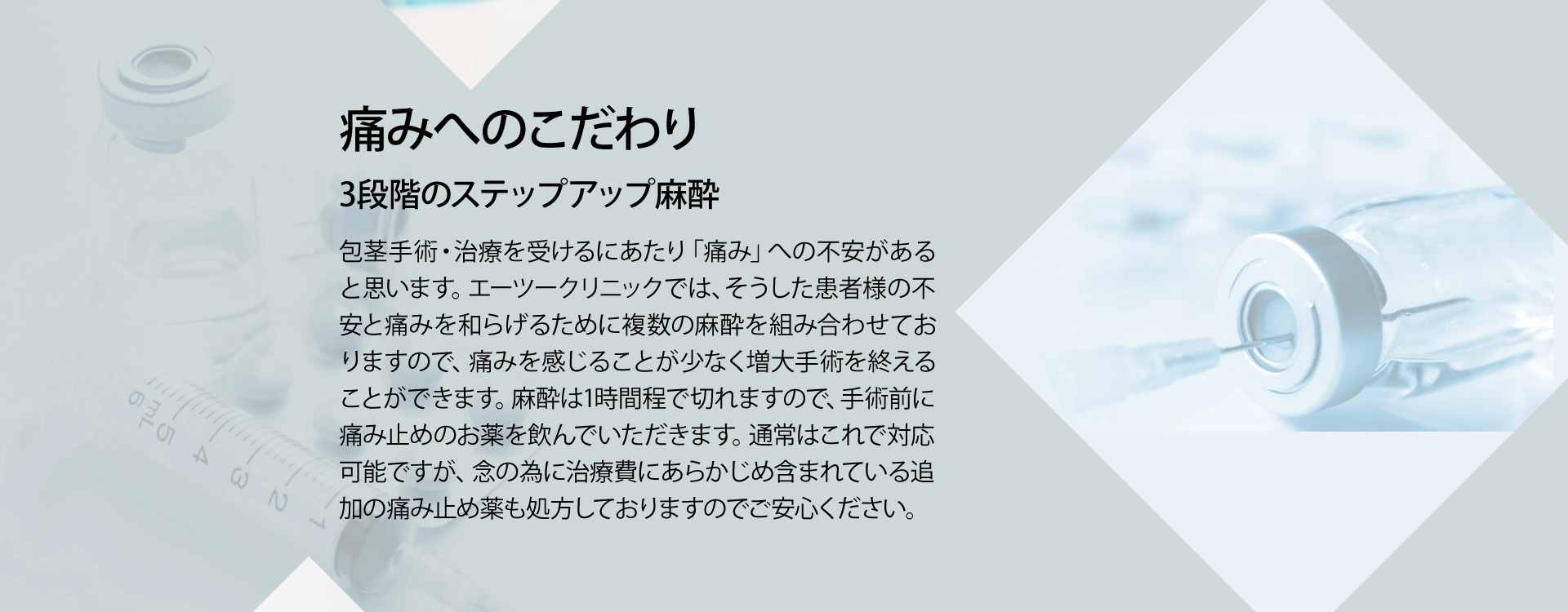 **** イメージ画像 